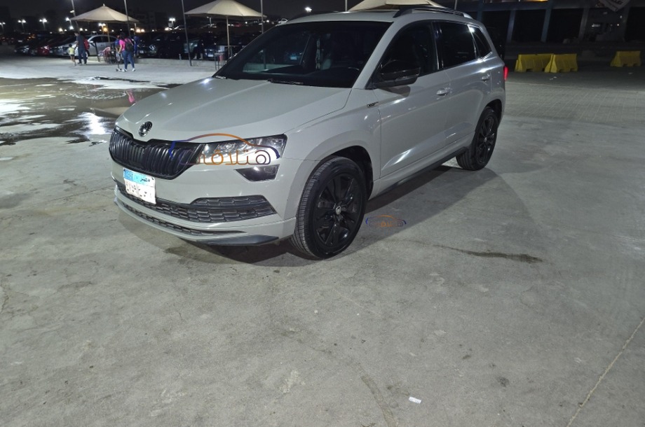 Karoq Skoda Gray