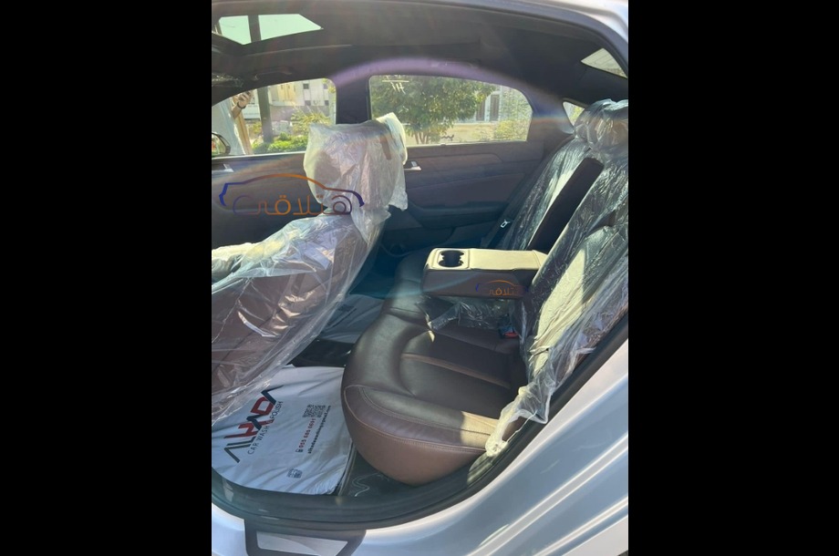 Elantra Hyundai فضي