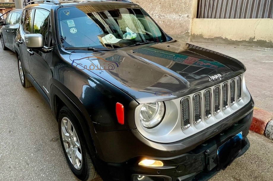 Renegade Jeep Gray