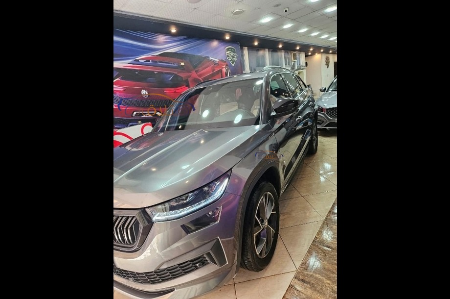 Kodiaq Skoda رمادي