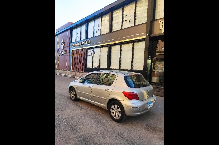 307 Peugeot Gray