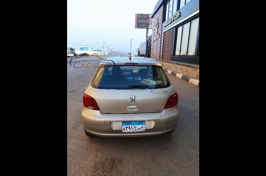 307 Peugeot Gray