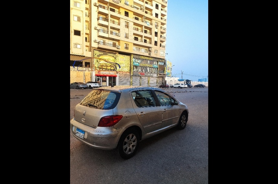 307 Peugeot Gray