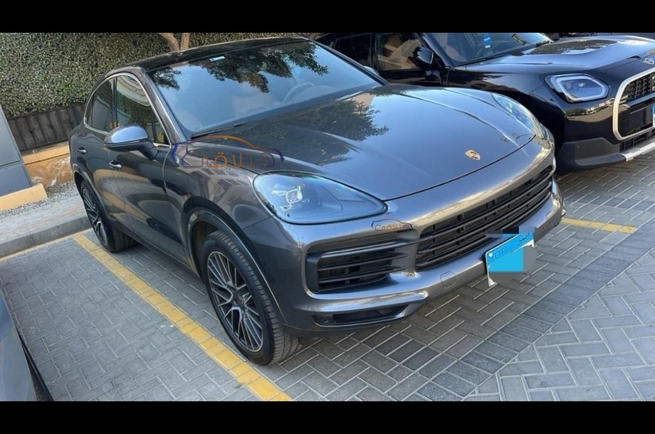 Cayenne Porsche بني