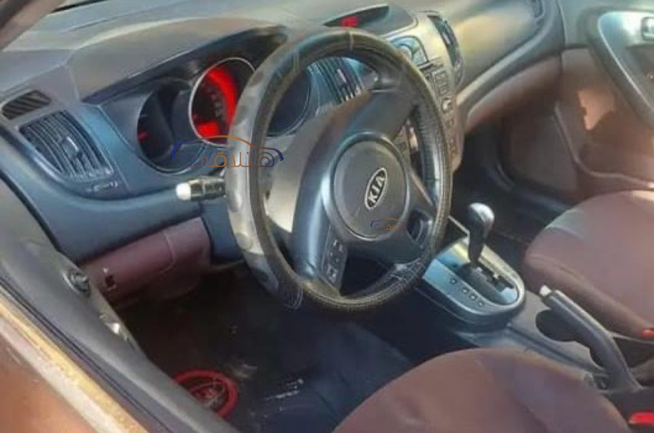 Cerato Kia باذنجاني
