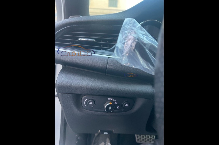 Insignia Opel Silver