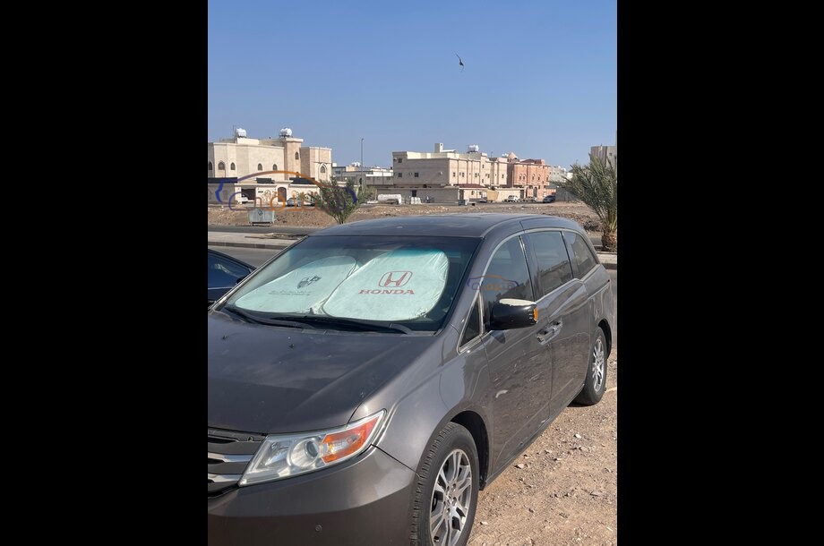 Odyssey Honda بني