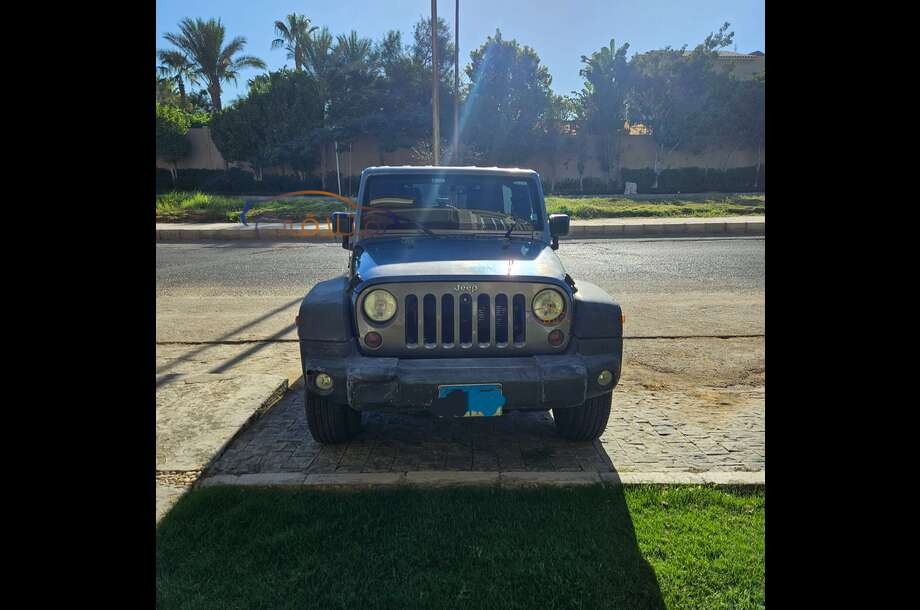 Wrangler Jeep Silver