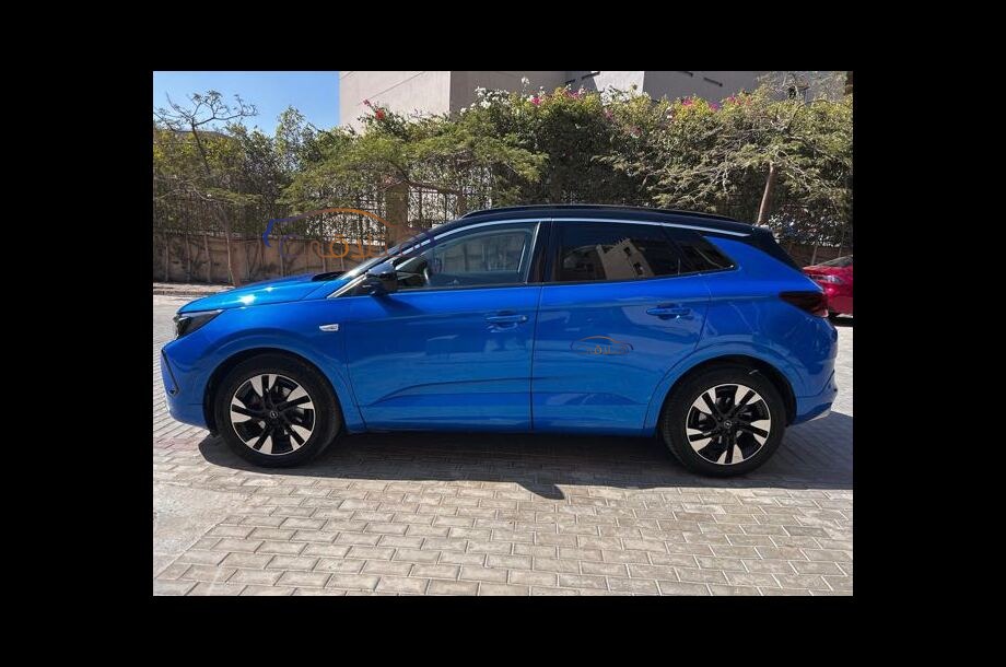 Grandland Opel Blue
