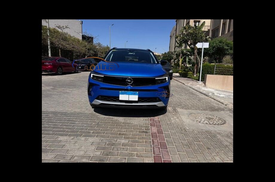 Grandland Opel Blue