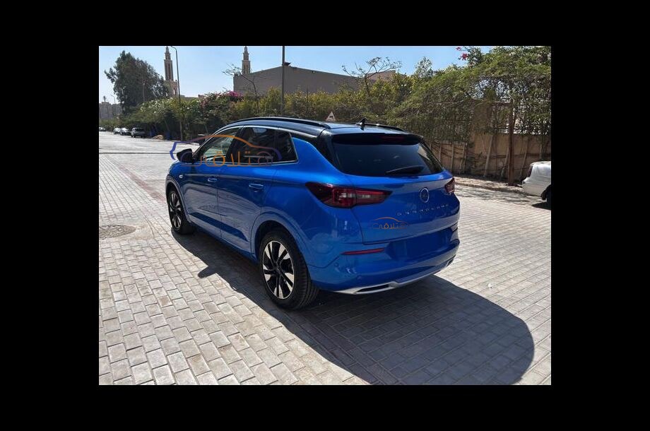Grandland Opel Blue