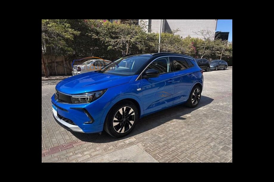 Grandland Opel Blue