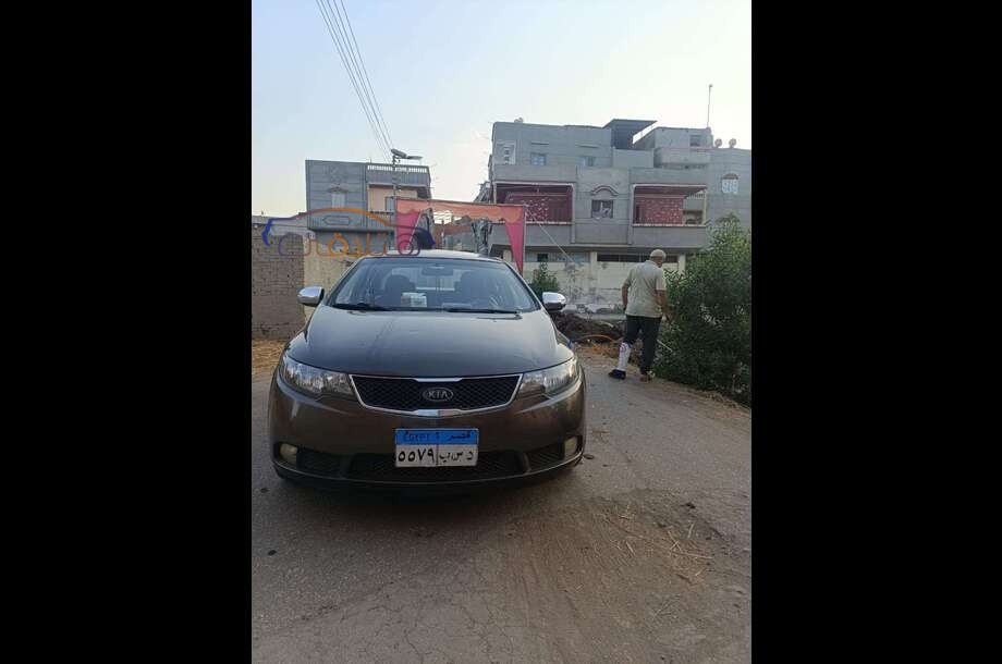 Cerato Kia برونزي