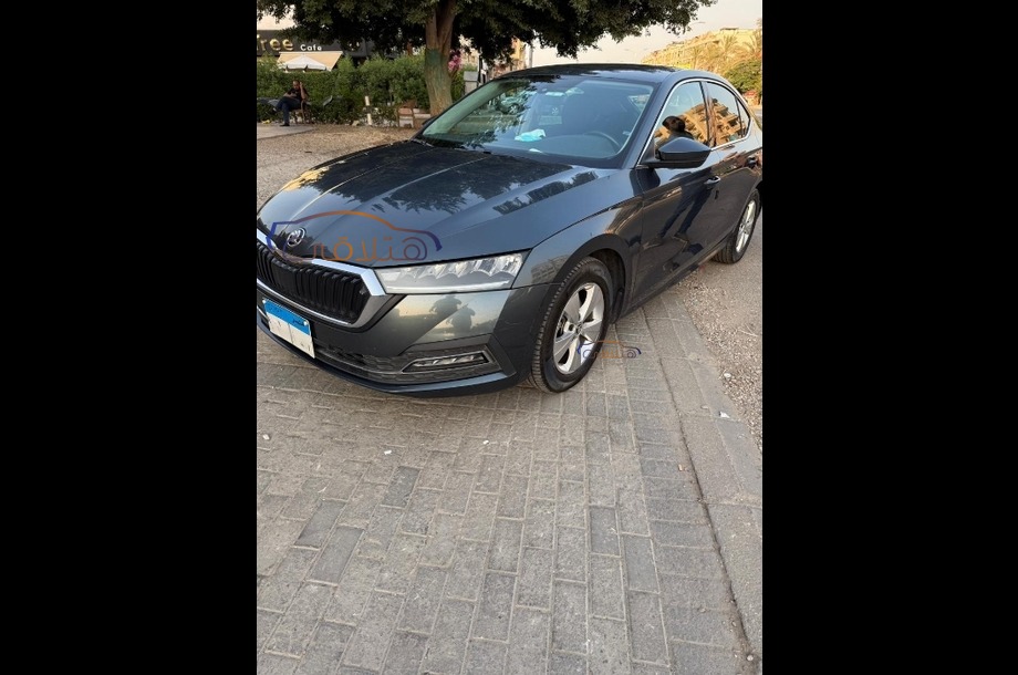 Octavia A8 Skoda رمادي