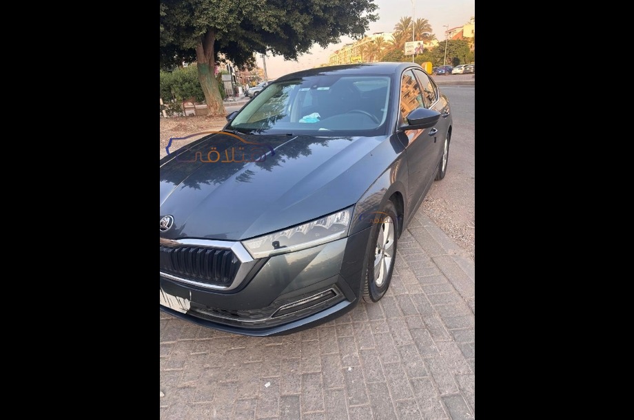 Octavia A8 Skoda رمادي