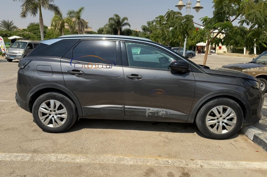 3008 Peugeot Gray