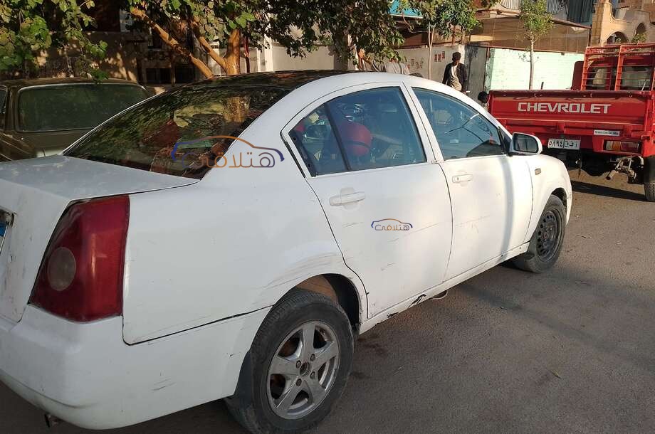 A516 Speranza أبيض