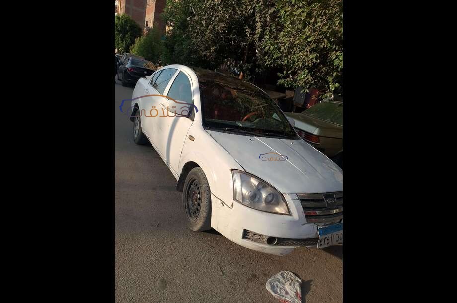A516 Speranza أبيض