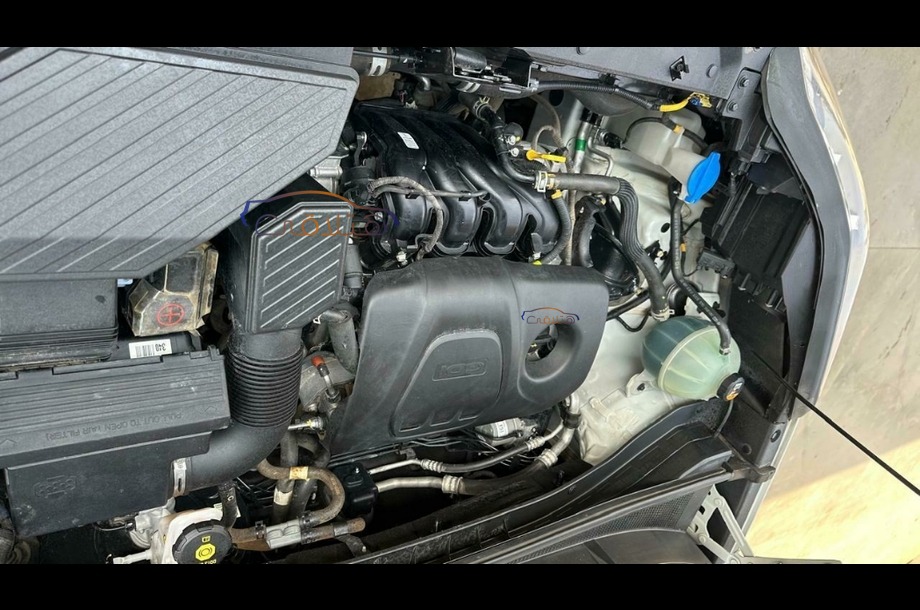 Sportage Kia أبيض