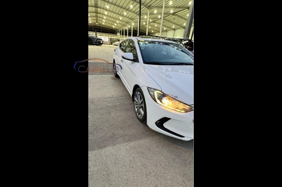 Elantra Hyundai أبيض