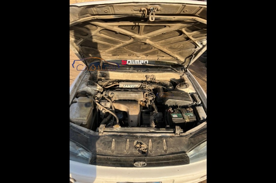 Corolla Toyota White