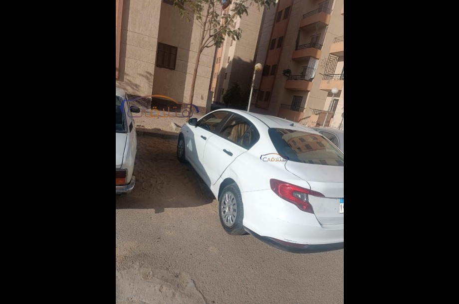 Tipo Fiat أبيض