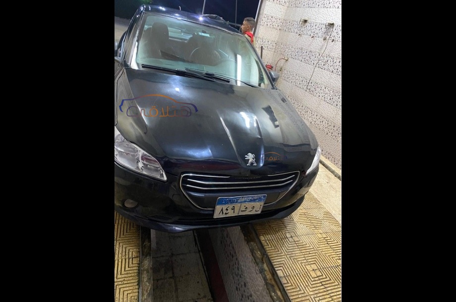 301 Peugeot Black