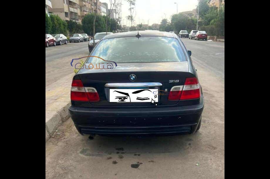 318 BMW Blue