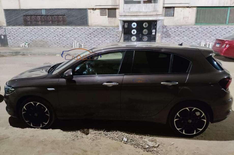 Tipo Fiat Brown