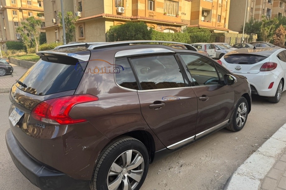 2008 Peugeot Brown