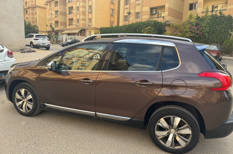 2008 Peugeot Brown