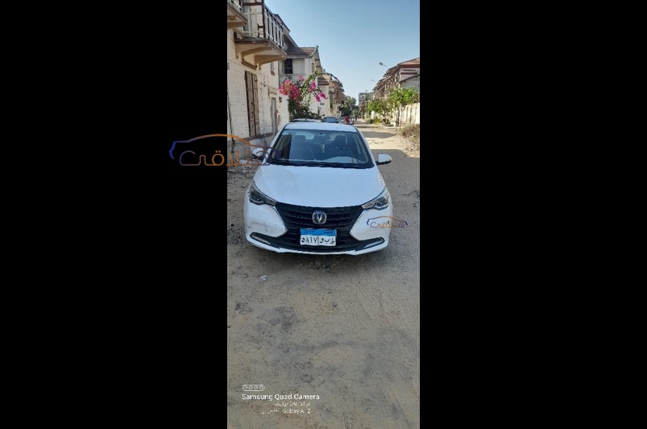 Alsvin Changan White