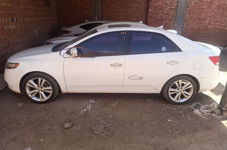 Forte Kia أبيض