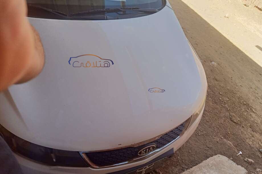 Forte Kia أبيض