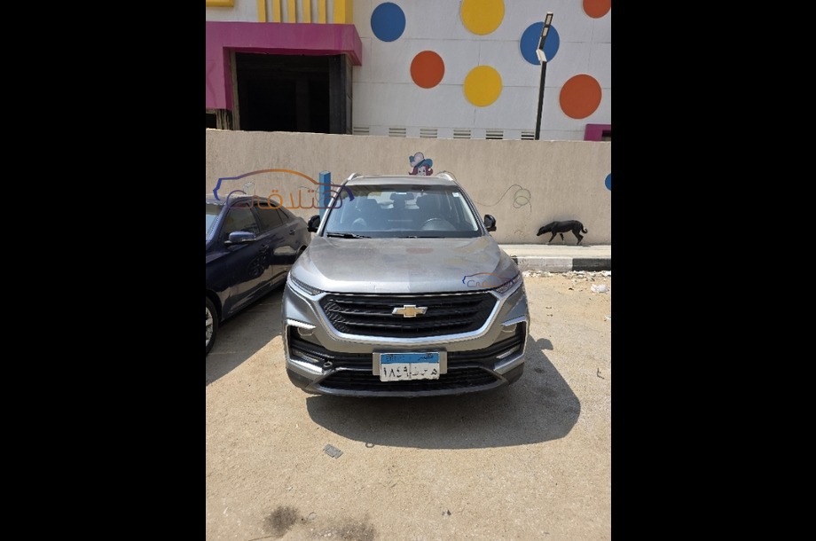 Captiva Chevrolet Gray