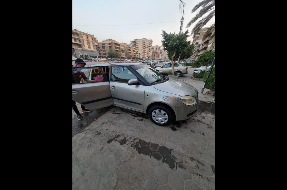 Fabia Skoda Silver