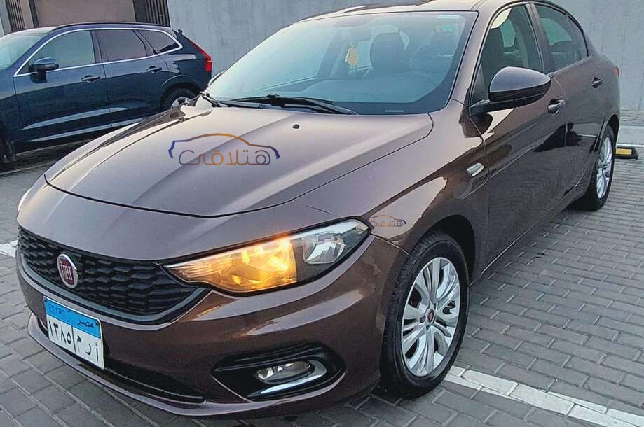 Tipo Fiat Bronze