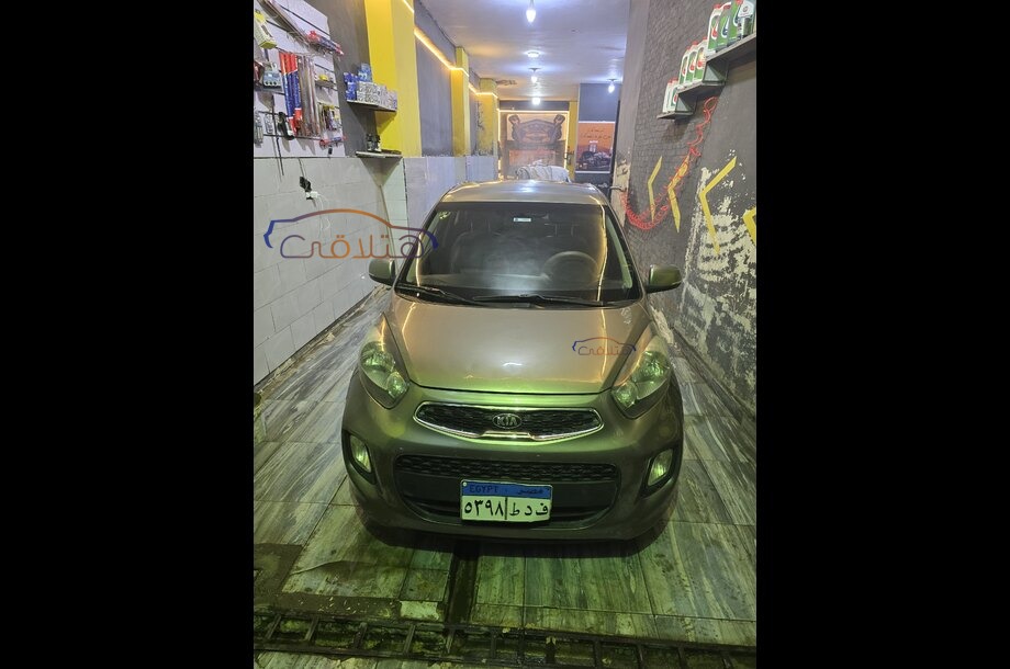 Picanto Kia Bronze