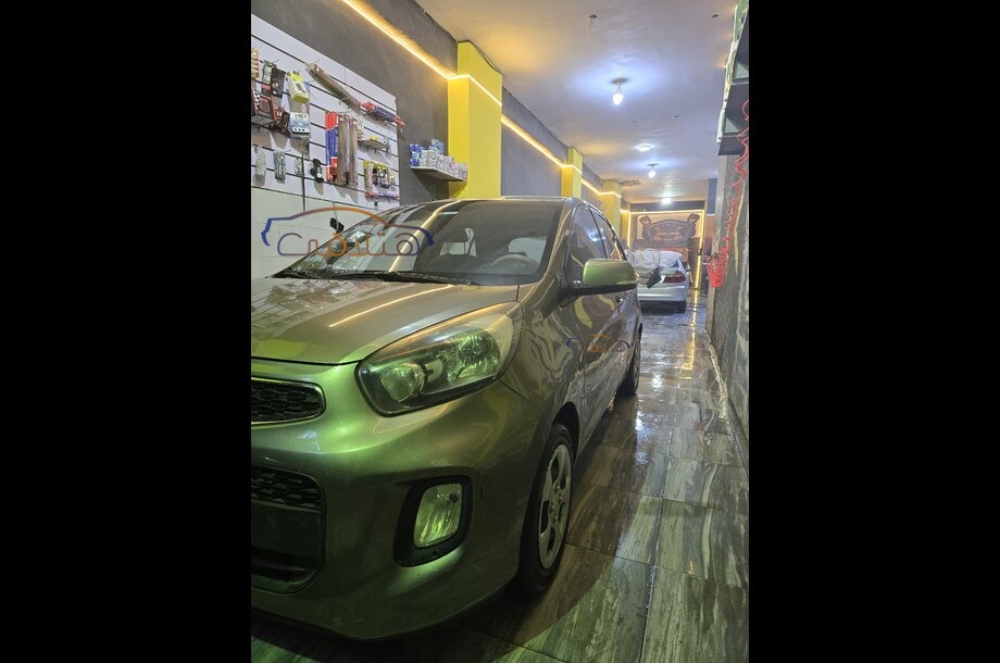 Picanto Kia Bronze