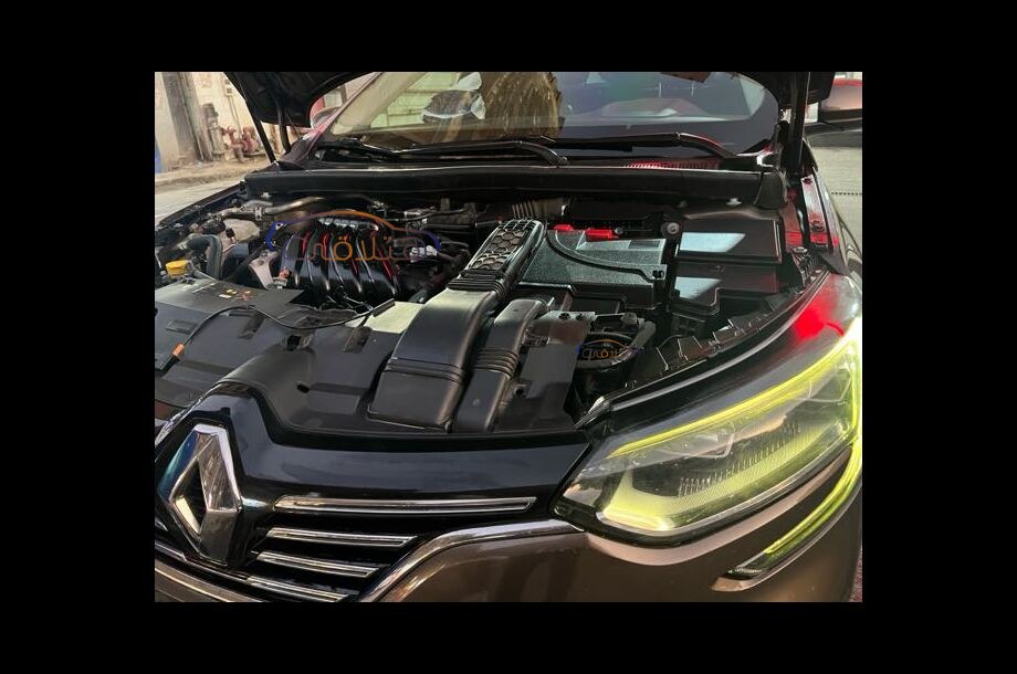 Megane Renault Brown