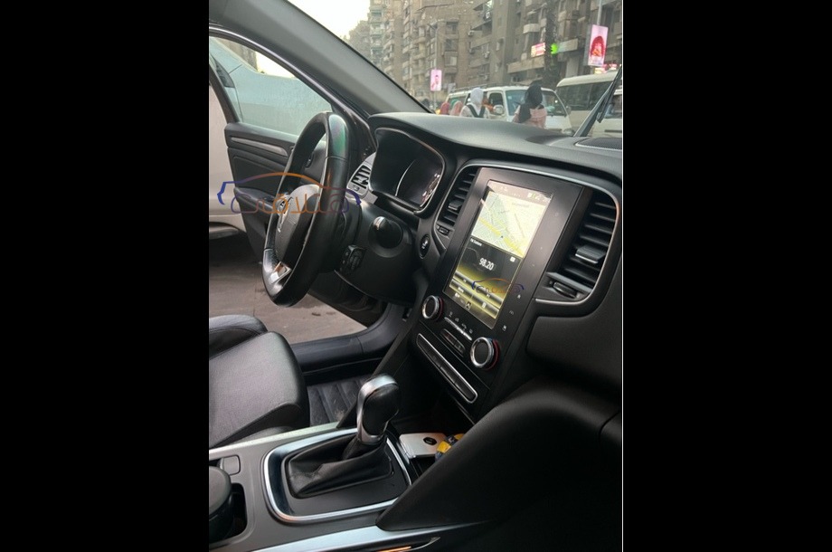 Megane Renault Brown