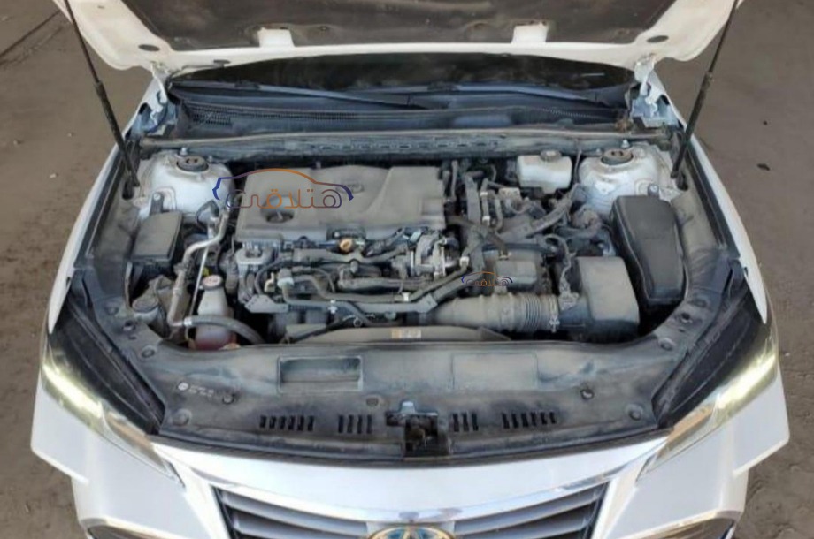 Avalon Toyota أبيض