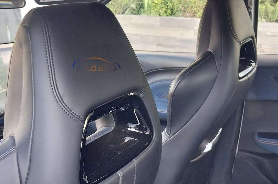 Seagull Byd أبيض