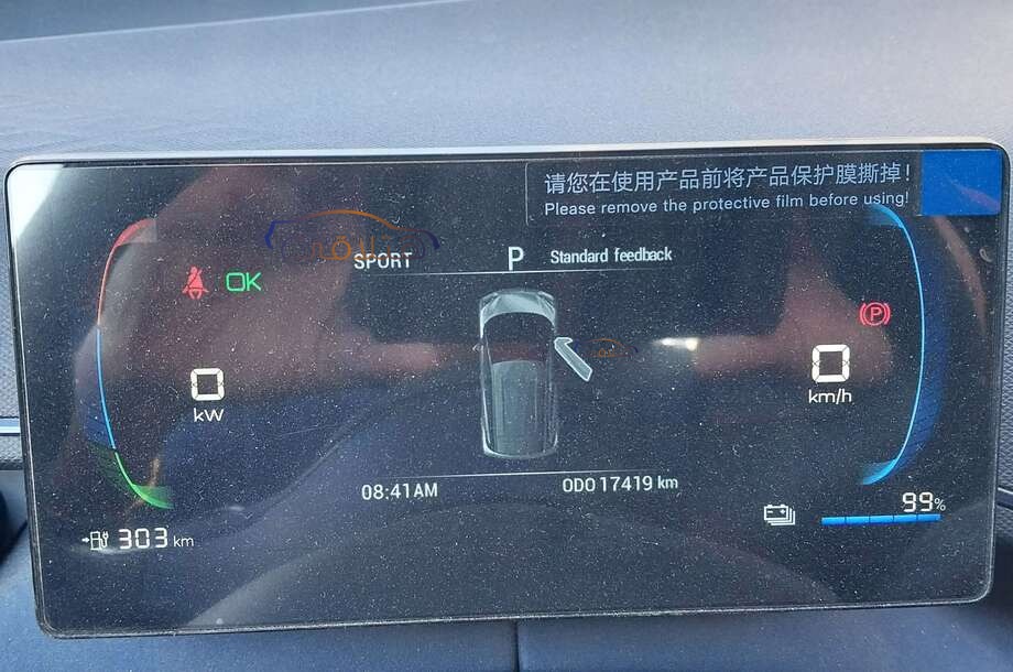 Seagull Byd أبيض