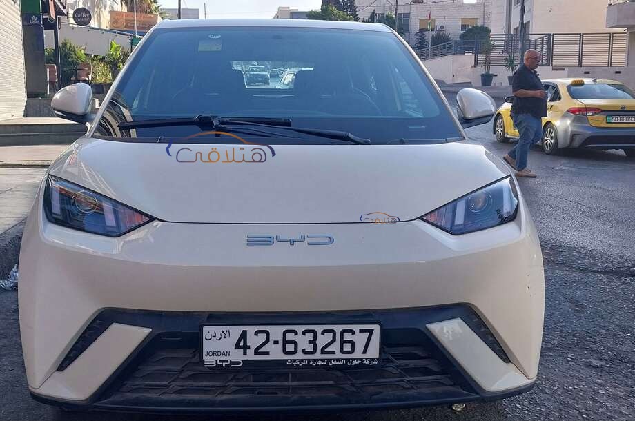 Seagull Byd أبيض