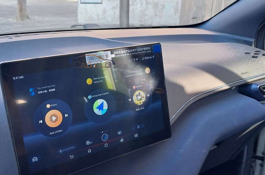 Seagull Byd أبيض