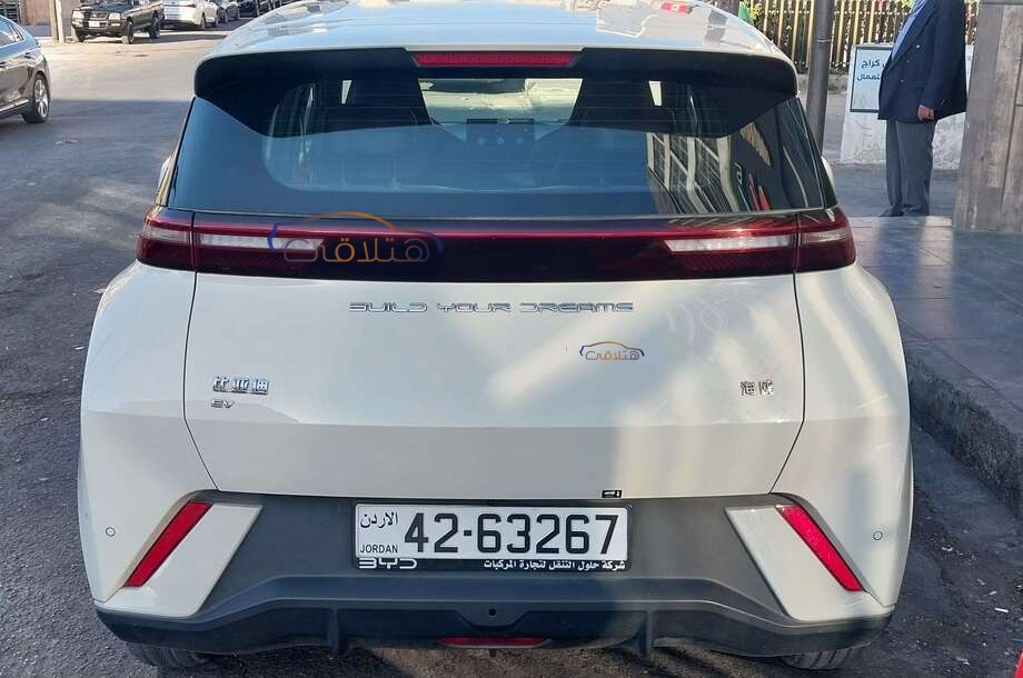 Seagull Byd أبيض