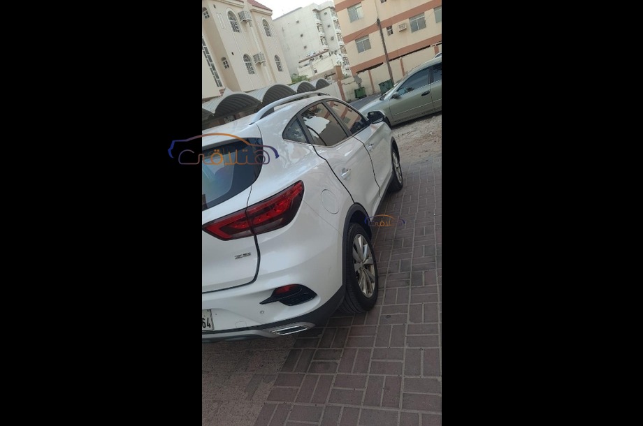 ZS MG White