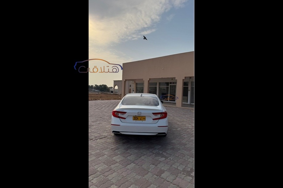 Accord Honda أبيض