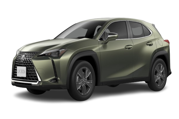 Lexus UX 2024 Automatic /  300  Premier New Cash or Installment